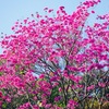 _mg_0586
