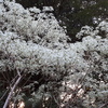 20180530_164832