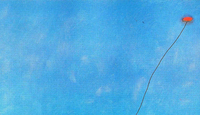 Azul-3