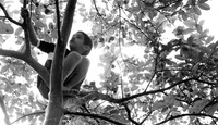 Img_9994