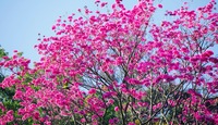 _mg_0586